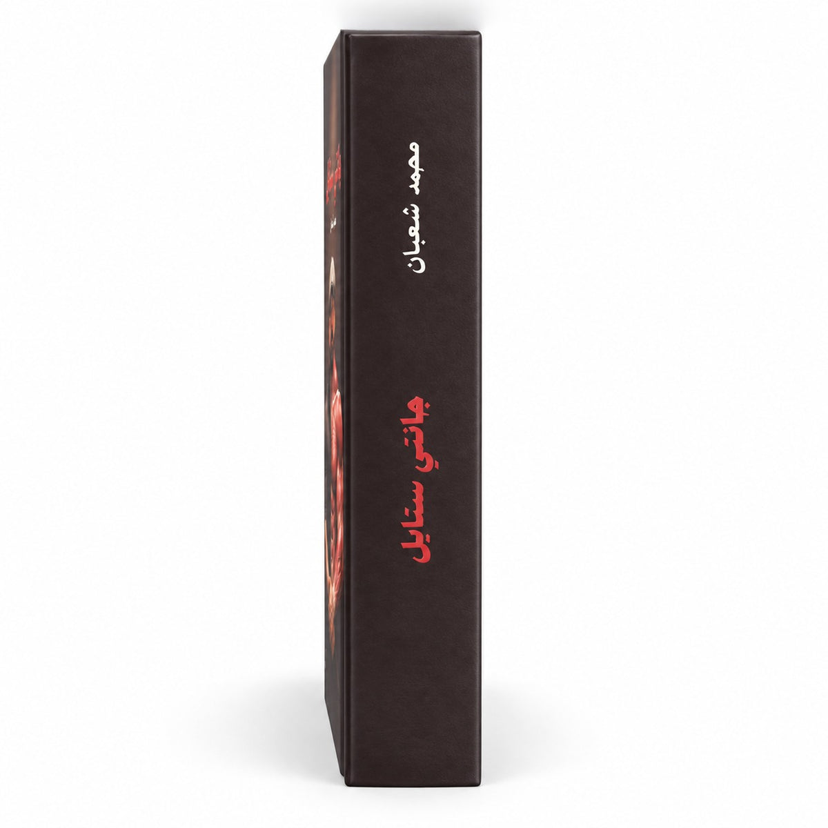 كتاب جانتي ستايل – محمد شعبان (الطبعة الثانية) | Jantee Style Book by Mohamed Shaaban – Arabic Hardcover Book